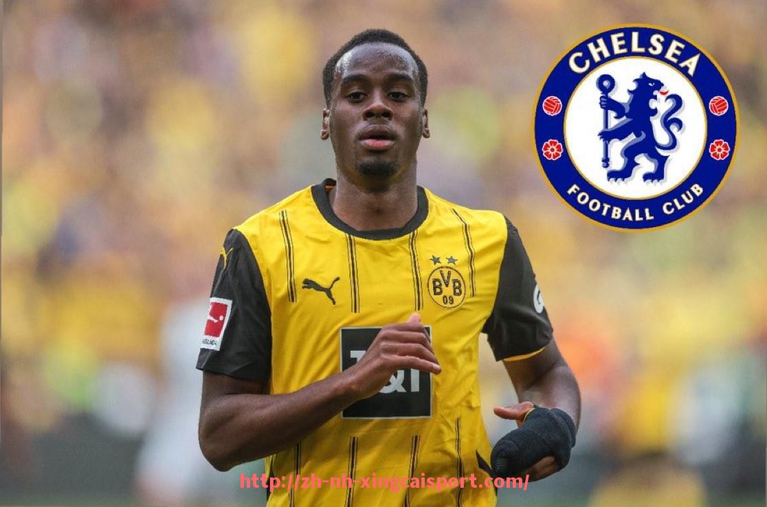 杏彩体育-英超球员坎特职业表现及战术价值解析