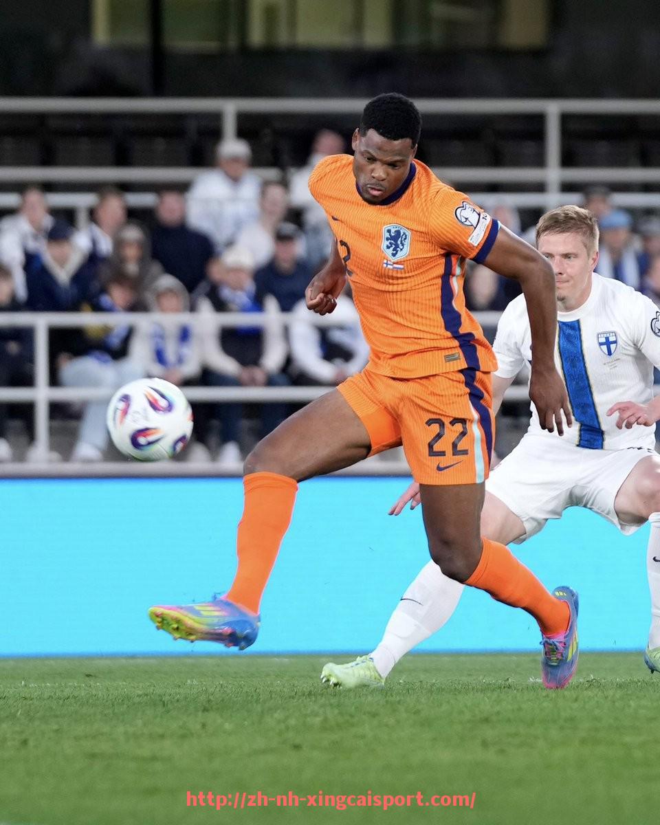 杏彩体育-苏宁老板投资的意甲球队发展及运营分析