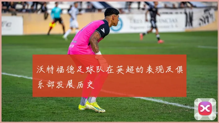 沃特福德足球队在英超的表现及俱乐部发展历史