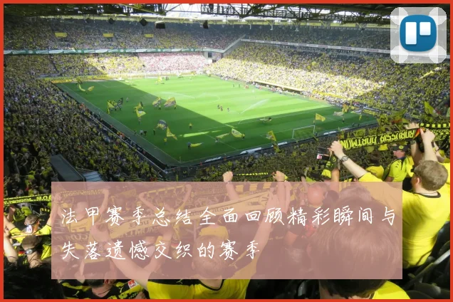 法甲赛季总结全面回顾精彩瞬间与失落遗憾交织的赛季