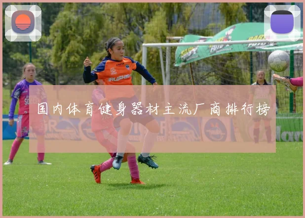 国内体育健身器材主流厂商排行榜