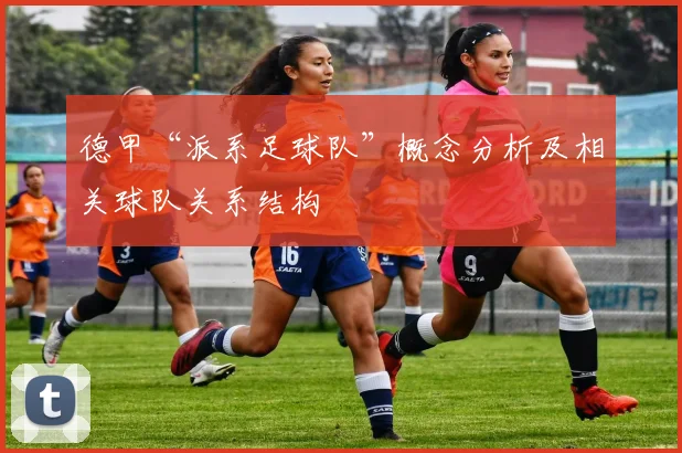 德甲“派系足球队”概念分析及相关球队关系结构