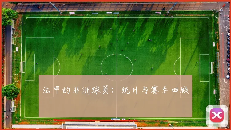 法甲的非洲球员：统计与赛季回顾