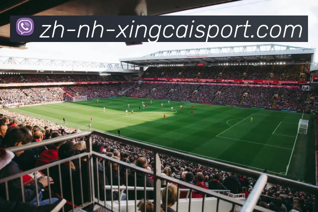 杏彩体育APP 封面图