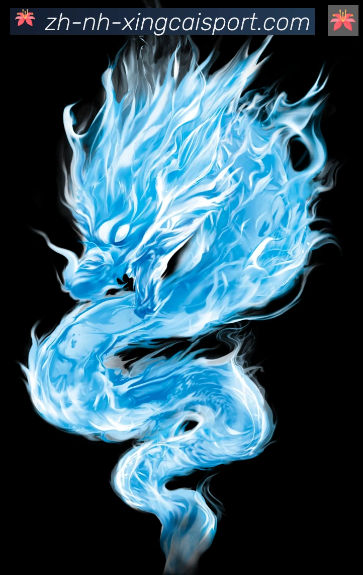 奖项证书